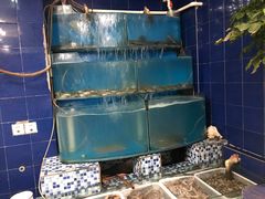 水产区-私房小厨(康城路店)