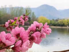 -国家植物园