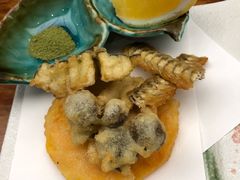 -京怀石·壬生