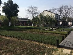 -田园东方蜜桃村的田野营地