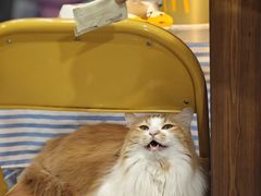 -氷冰凉刨冰甜品(北京路店)