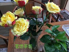 -茗悠茶坊(东山国际滨河街区店)