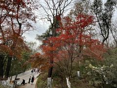 -岳麓山风景名胜区
