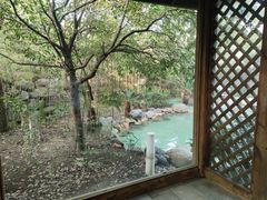 -张家港金凤凰度假村温泉