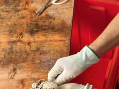 -阳澄湖大闸蟹·琼灵阁牌品牌连锁(吴中总店)