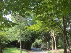 -贵阳市花溪国家城市湿地公园