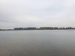 -丁香湖公园