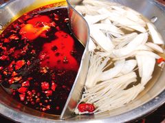 菌香鸳鸯锅-晓宇重庆火锅(赛格国际购物中心店)