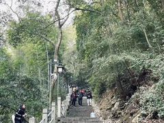 -灵顺寺