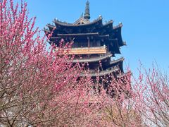 -杭州半山国家森林公园