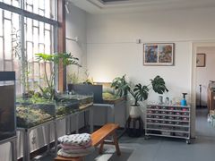 -灵龟之家百象馆(百象馆联合旗舰店)