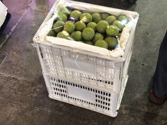 -双福水果批发市场