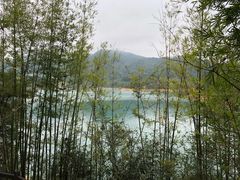 -广州市流溪河国家森林公园