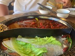 -小志家.鲜牦牛肉牛杂火锅野生菌汤锅