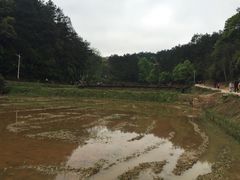 -韶山毛泽东同志故居