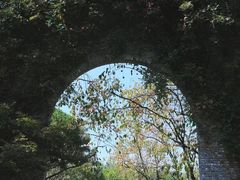 -朴园
