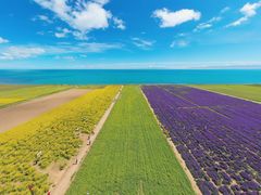 -青海湖国家重点风景名胜区
