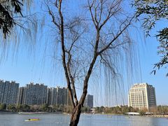 -南翔镇银翔湖公园