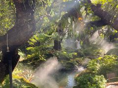 -Chom Cafe and Restaurant