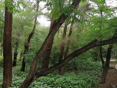 -长春市南湖公园