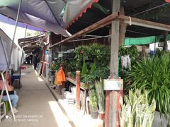 -秦美花卉(天朗·莱茵小城2期店)