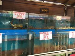-真浪大家乐海鲜餐馆