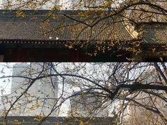 -西安大兴善寺