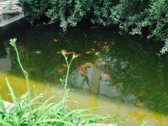 -1369冰火锅(木北路店)