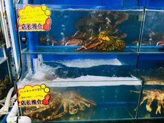 -蚝专家(北滘店)