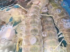 -大东海海鲜酒楼(渔人码头总店)