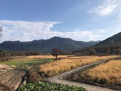 -塔川景区