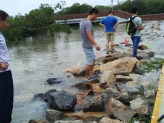 -宝安西湾红树林湿地公园