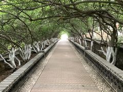 -烟台山景区