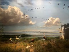 -中国湿地博物馆