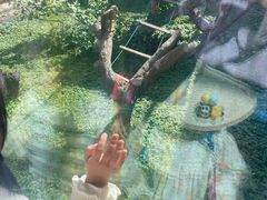 -临沂动植物园