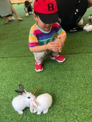 -萌宠亲子动物乐园(槐房万达店)