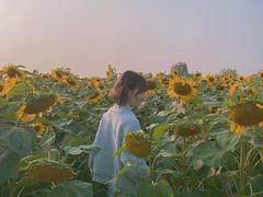 -映月湖中央公园