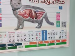 -半岛宠物医院24小时(科华中路店)