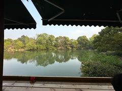 -张鸟园农家乐(张鸟园店)
