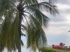 -日落吧·海景咖啡厅·餐酒吧·鸡尾酒·下午茶·乐队表演·浪漫夕阳·三亚文华东方酒店