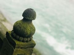 -一只酸奶牛(奎星楼店)