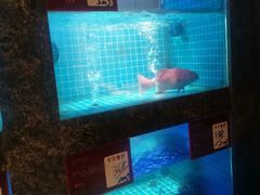 -潮州府·潮菜·砂锅粥(徐家汇店)