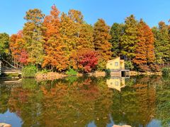 -上海共青森林公园