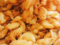 千层麻花-泸溪河桃酥(西直门凯德店)