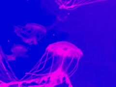 -多彩贵州城极地海洋世界