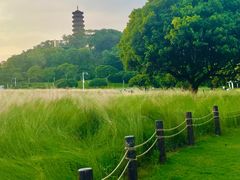 -红花山公园