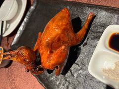 -侨美·唐荔园·40年地道粤菜