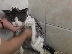 -朕之味(龙湖·西城天街店)