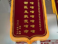 -中农国际动物医院24小时·猫科·骨科·急重症中心