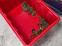 -阳澄湖大闸蟹·琼灵阁牌品牌连锁(吴中总店)